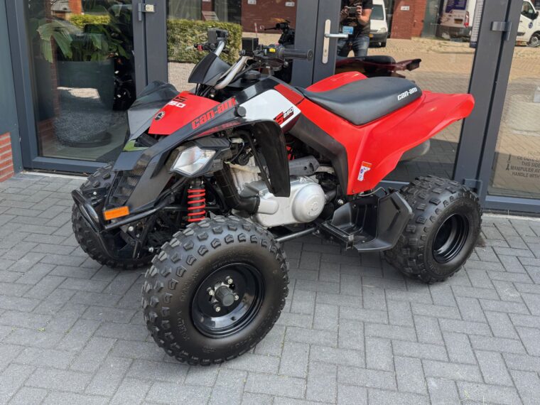 Gebruikte Can Am DS 250 MY2020 - Afbeelding 2