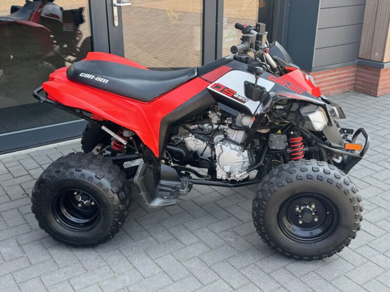 Gebruikte Can Am DS 250 MY2020 - Afbeelding 6