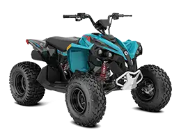 Can-am renegade youth